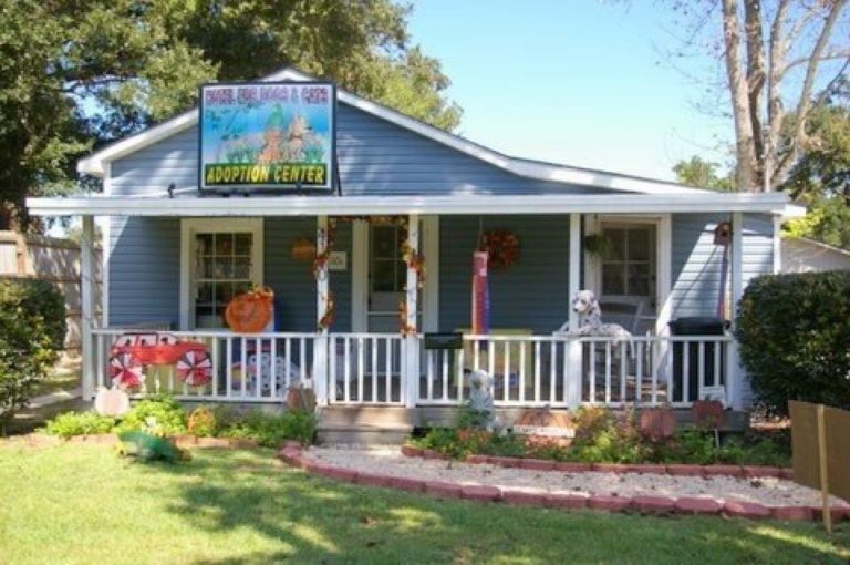 Pensacola Hotel For Dogs And Cats Adoption And Rescue Shelter Service